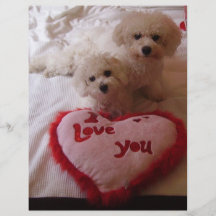 Valentines Babies Flyer