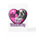 Valentines Day Boston Terrier Greeting Cards
