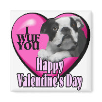 Valentines Day Boston Terrier Refrigerator Magnets