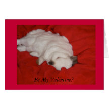 Valentine's Day Card