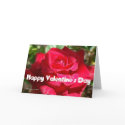 Valentine's Day Card (9) - Personalise/Customise