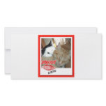 Valentine's Day Cat Humor Customized Photo Card