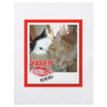 Valentine's Day Cat Humour flyers