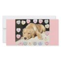Valentine's Day Golden Retriever photo cards