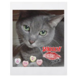 Valentine's Day Gray Cat Full Color Flyer