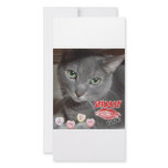 Valentine's Day Gray Cat Personalized Photo Card