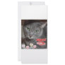 Valentine's Day Gray Cat Custom Rack Cards