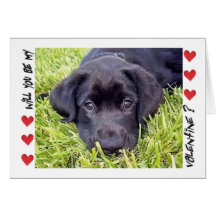 Valentine's Day, Labrador puppy, Be Mine Card