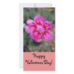 Valentines Day, Photo Cards photo cards