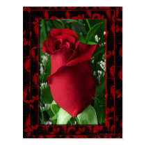 Valentine's Day postcards