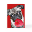 Valentine's Day pug greeting card