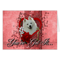 Valentines - Key to My Heart - American Eskimo Greeting Cards