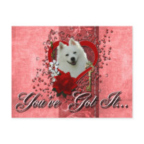 Valentines - Key to My Heart - American Eskimo Postcard