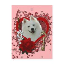 Valentines - Key to My Heart - American Eskimo Postcard