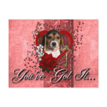 Valentines - Key to My Heart - Beagle Puppy Post Cards