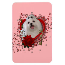 Valentines - Key to My Heart - Maltese Vinyl Magnet