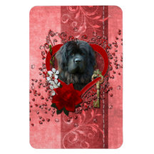 Valentines - Key to My Heart - Newfoundland Rectangular Magnet