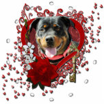 Valentines - Key to My Heart - Rottweiler photo sculptures