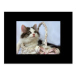 Valentine's Kitten ACEO Art Trading Card Post Card