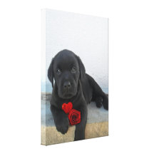 Valentine's labrador puppy canvas print