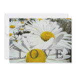 Valentine's Party invitations White Daisy Flowers