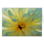 VALERIE'S DAHLIA GREETING CARDS