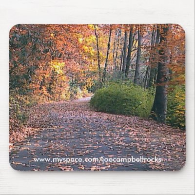 Valley Garden State Park, Wilmington, De. Mouse Mats by brassica