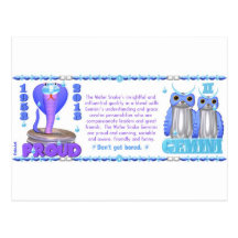 ValxArt Zodiac water snake born Gemini 1953 2013 Postcards
