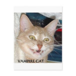 VAMPIRE CAT postcards