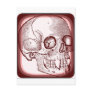 VAMPIRE SKULL PRINT IN WINE FRAME POSTCARDS