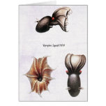 Vampire Squid Card
