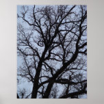 Vampire Tree Posters
