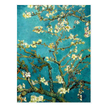 Van Gogh Almond Blossoms Tree Postcard