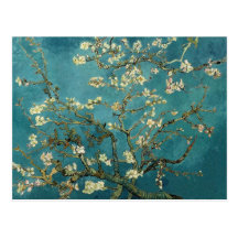 Van Gogh Almond Branches in Bloom Post Cards