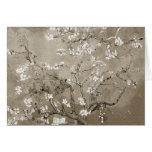 Van Gogh Almond Branches in Bloom - Sepia Greeting Card