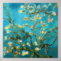 Van Gogh Almond Branches Poster