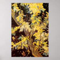 Van Gogh Blossoming Acacia Branches Poster