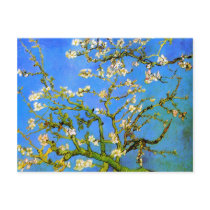 Van Gogh: Blossoming Almond Tree Branches
