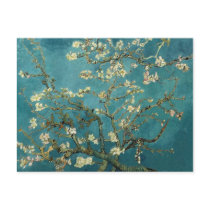 Van Gogh Blossoming Almond Tree Postcard