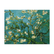 Van Gogh Blossoming Almond Tree Postcard