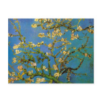 Van Gogh; Blossoming Almond Tree Postcards