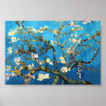 Van Gogh Blossoming Almond Tree posters