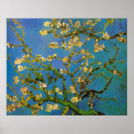 Van Gogh; Blossoming Almond Tree posters