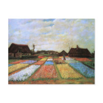 Van Gogh Bulb Fields Holland Post Card