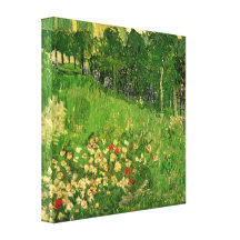 Van Gogh; Daubigny's Garden, Le Jardin de Daubigny Stretched Canvas Print