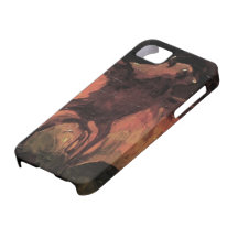 Van Gogh Flying Fox (Bat), Vintage Still Life Art Case For The iPhone 5