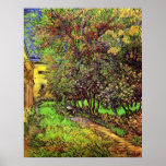Van Gogh Garden Of Saint-Paul Hospital Poster posters