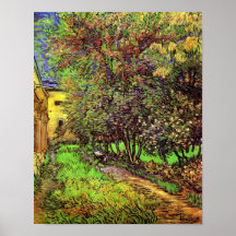 Van Gogh Garden Of Saint-Paul Hospital Poster