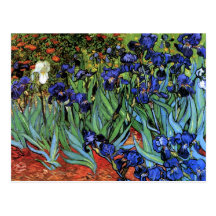 Van Gogh Irises Fine Art Post Card