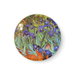 Van Gogh: Irises